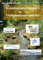 Deckblatt Anpassungen von Wasserinsekten