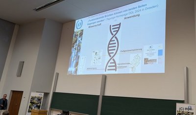 Doppelhelix
