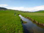 Foto Gewässer in Grünland