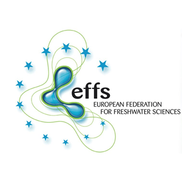 Logo der EFFS