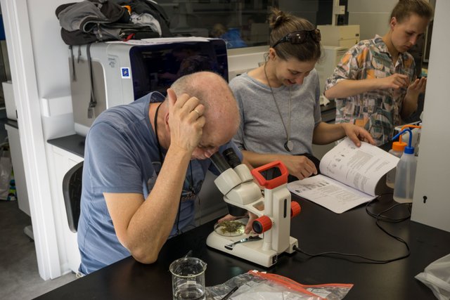 Bestimmung von gesammeltem Material in der Frederick University