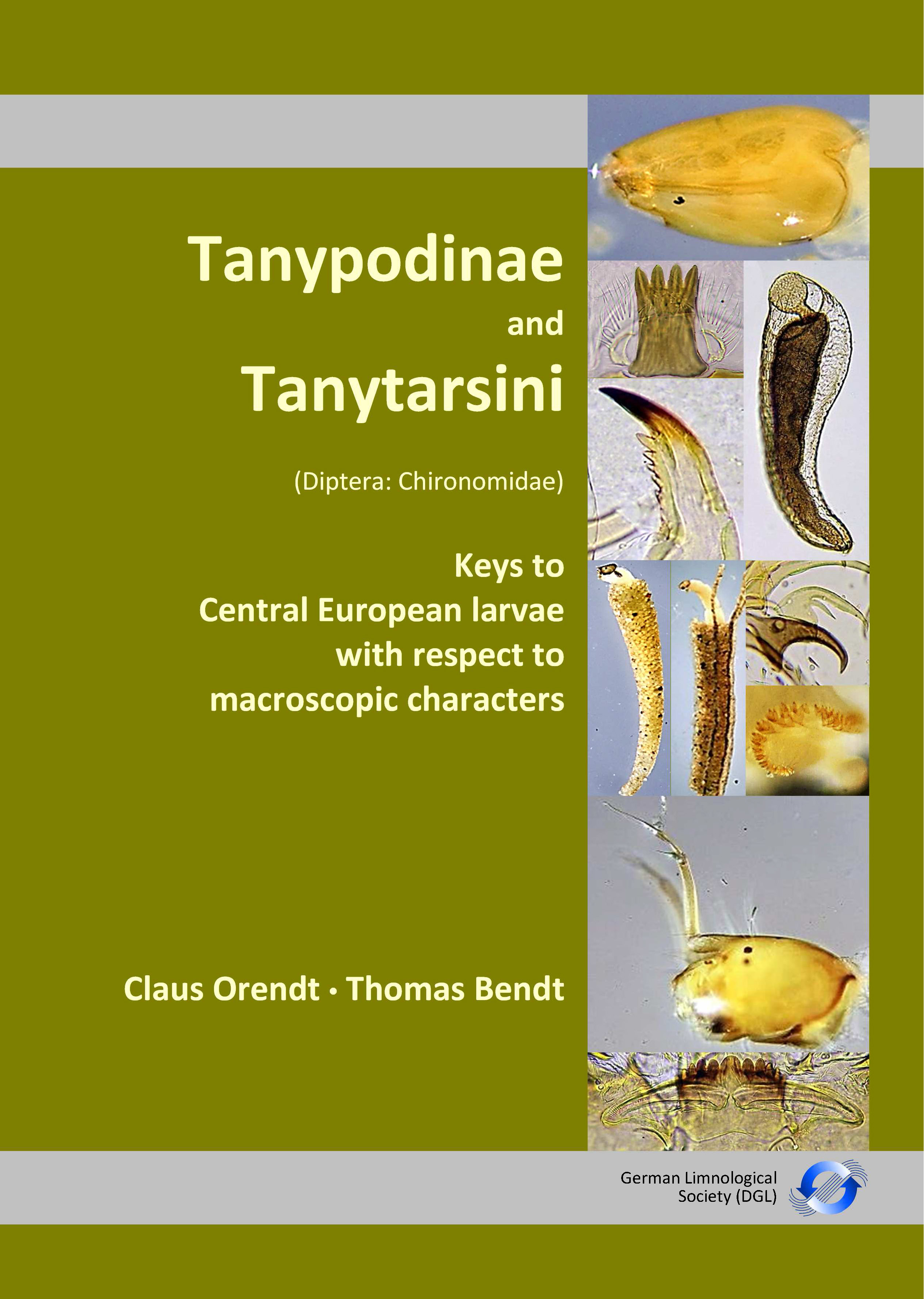 Deckblatt Tanypodinen_Schlüssel